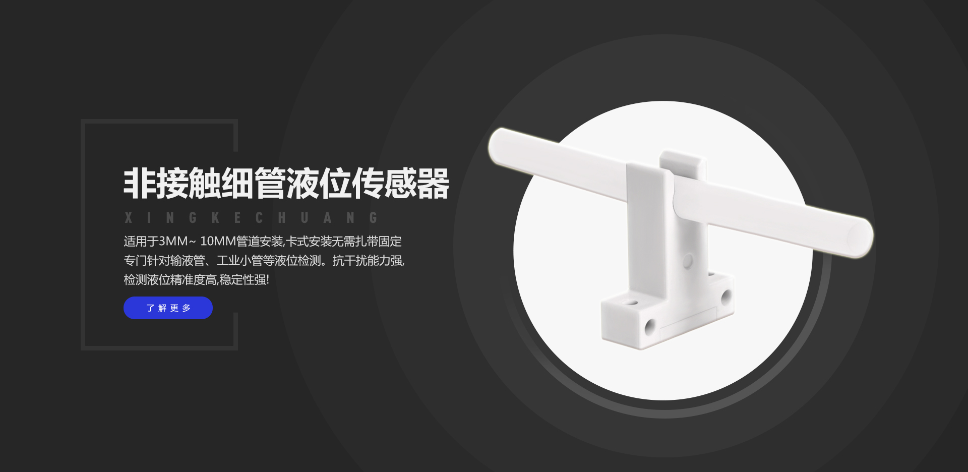 彩名堂-精准展望, 专业剖析