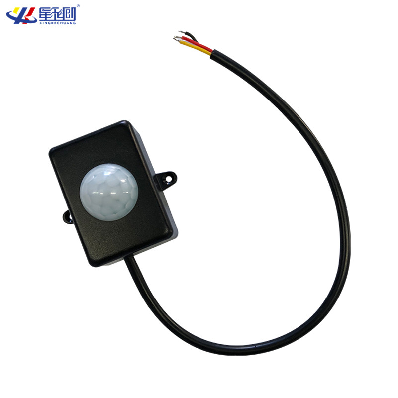 彩名堂-精准展望, 专业剖析